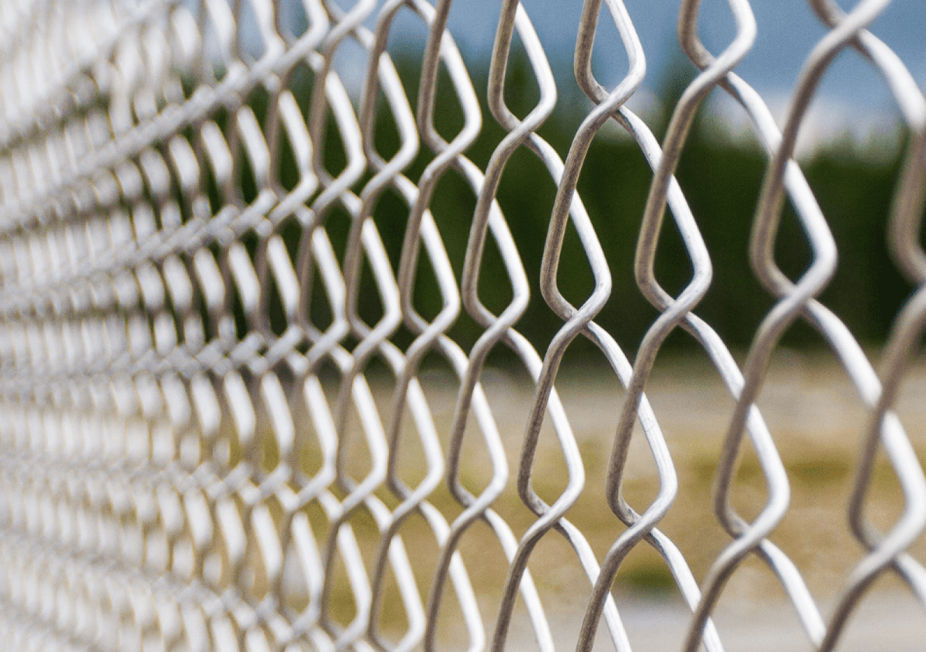 Chain Link Chain Link